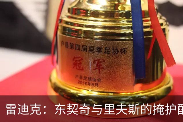 雷迪克：东契奇与里夫斯的掩护配合需视对位而定